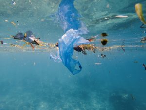 microplastiche