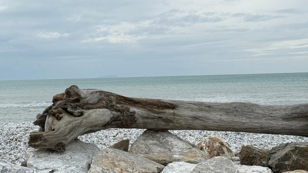 marina di pisa ok erosione
