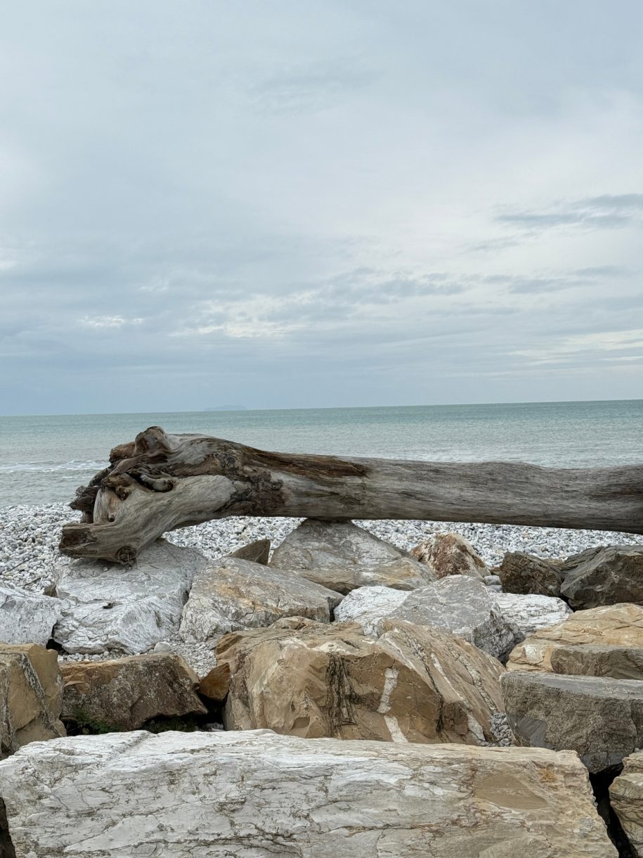 marina di pisa ok