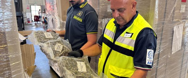 marijuana